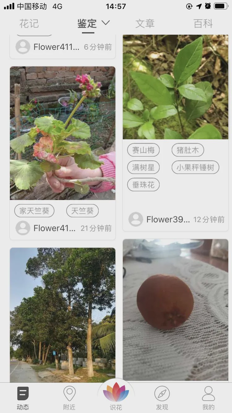 哪个识花软件最好用,识花app免费的哪个好