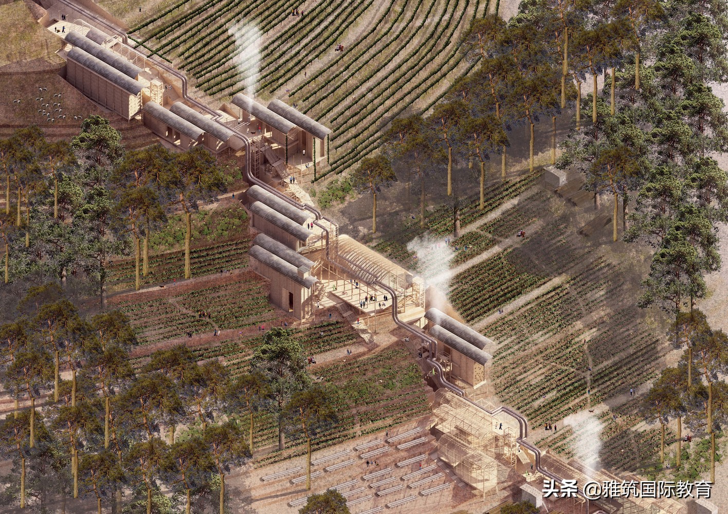 riba作品,riba国际奖提名