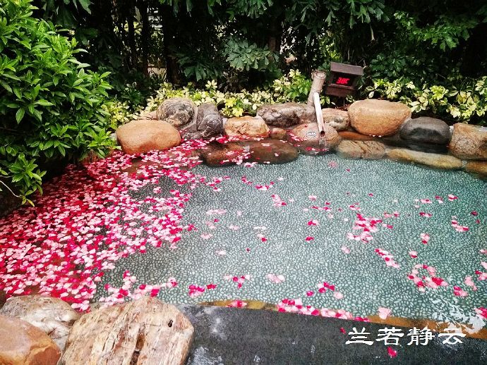 厦门日月谷温泉酒店预订价格,厦门日月谷温泉酒店套餐