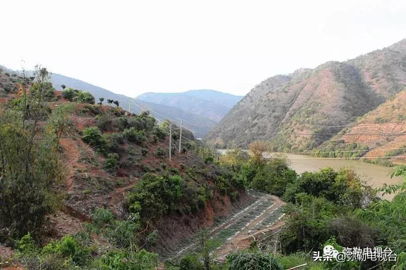 弥勒千亩西瓜熟了!黄心瓜、红心瓜、小香瓜…你喜欢哪种?