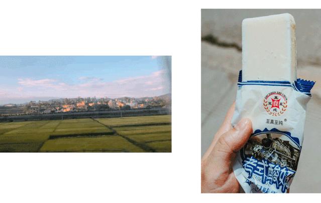 他建了一个3000㎡的浪漫花园，情侣不远千里只为一场草坪婚礼