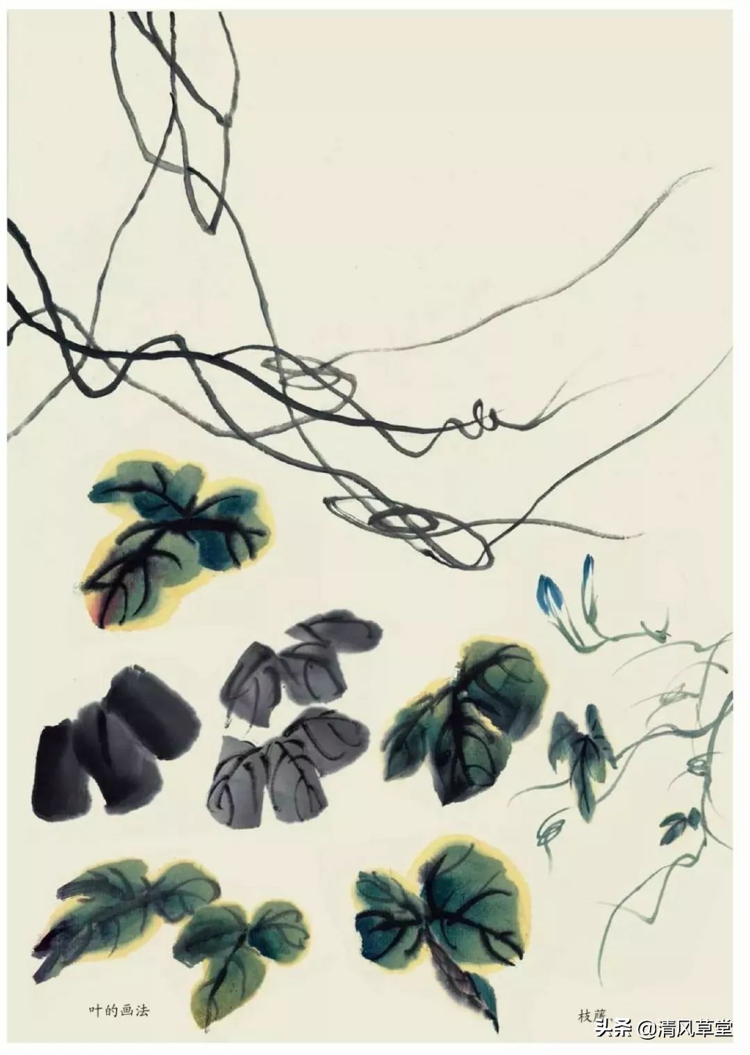 少儿国画花卉画法视频,各种花卉的100种画法