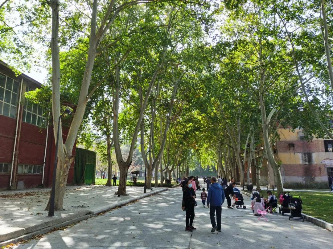 郑州文创园：萌芽与探索，期待与重生