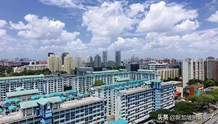 新加坡最贵的东西是什么,什么东西新加坡很便宜中国很贵