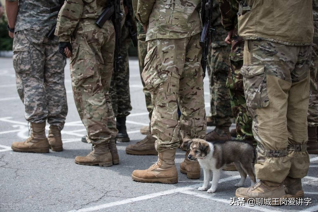 教育知识：“五”和“伍”一样吗？财务票据上要分清