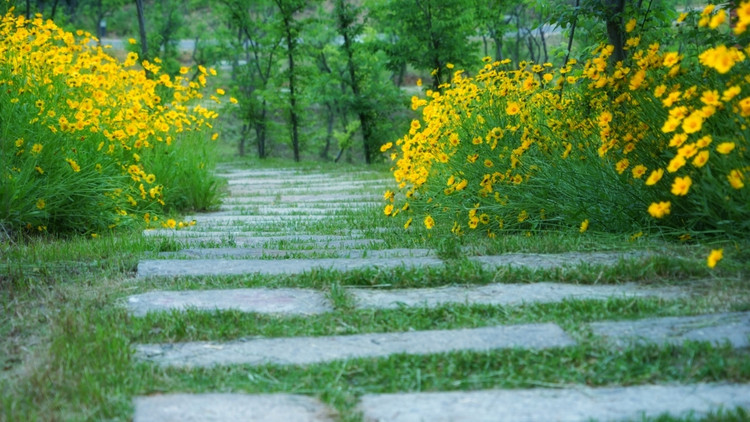 茅山宝盛园周边游玩,茅山宝盛园所有游乐设施