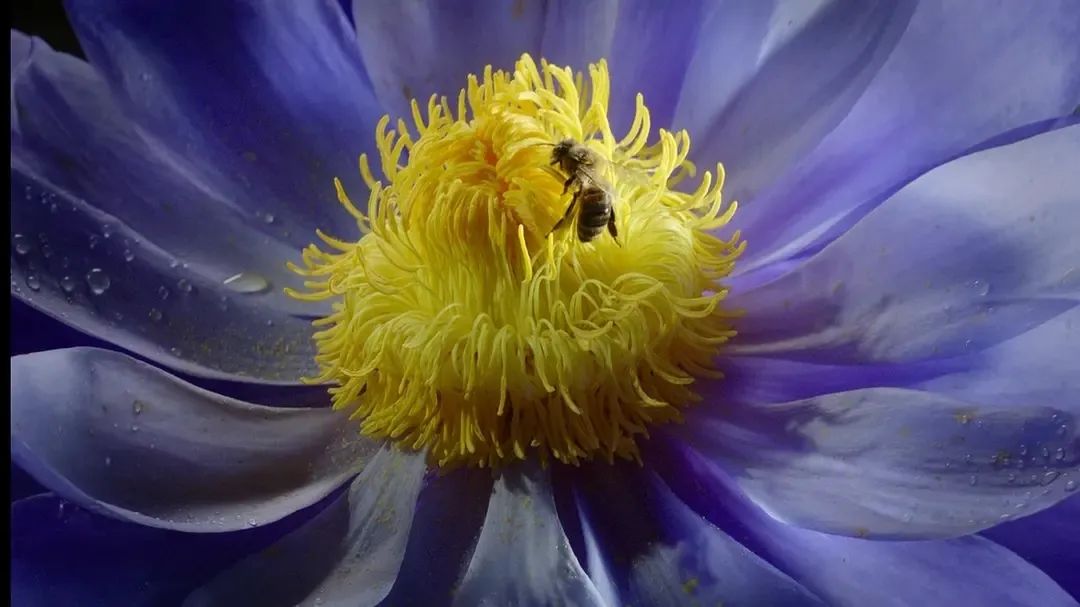 假期儿童纪录片推荐经典,青少年假期推荐纪录片