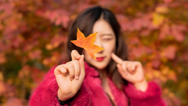 我拿什么继续爱你，我那出了轨的爱人，怎样才能和好如初不计前嫌