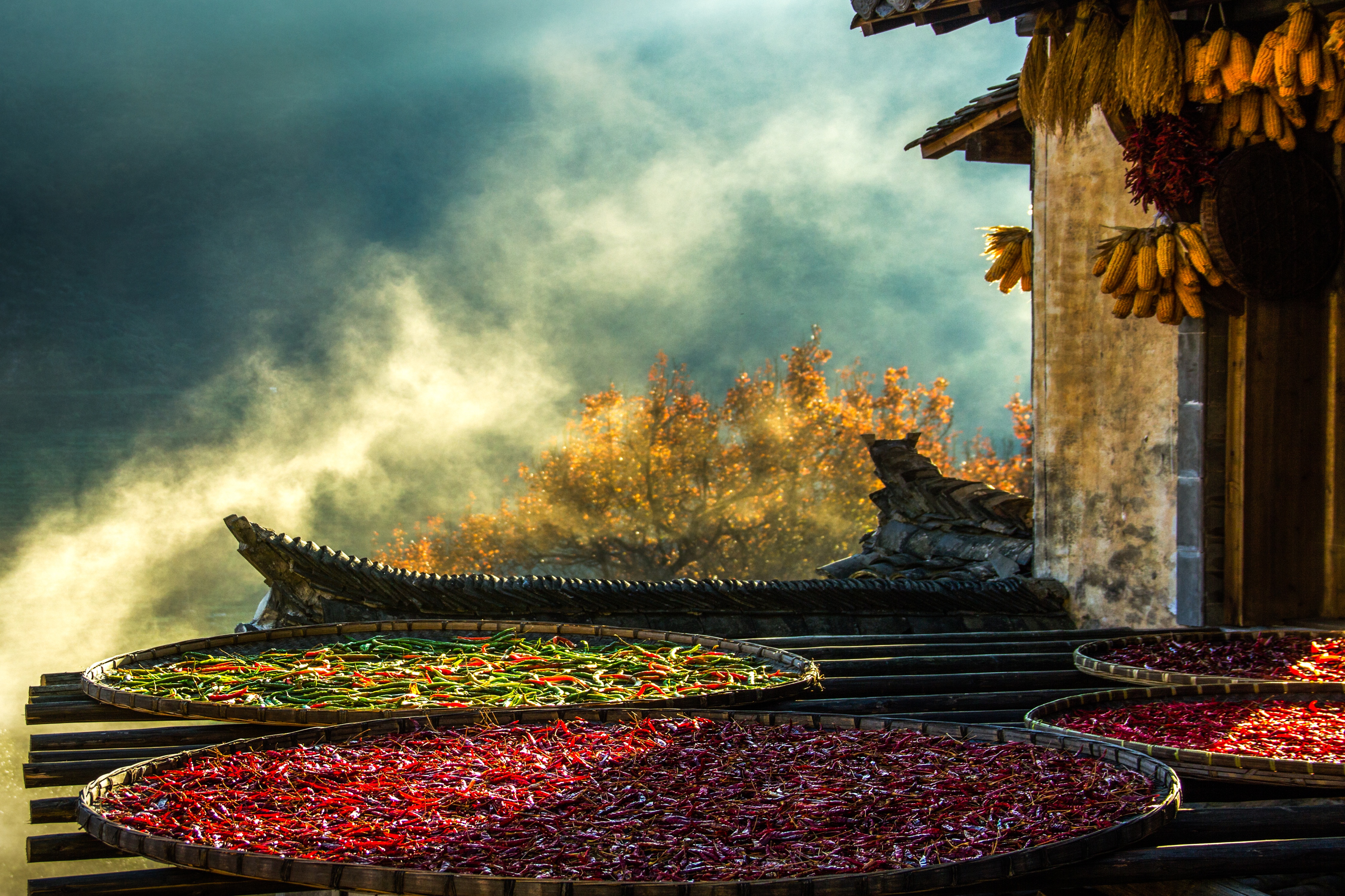 婺源篁岭晒秋古镇忆江南庭院,篁岭最美古村晒秋
