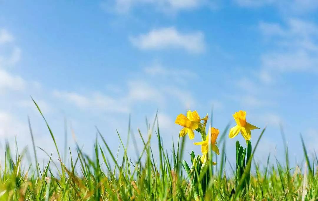 双鱼座的三大特点,双鱼座的性格和最大的特点是什么