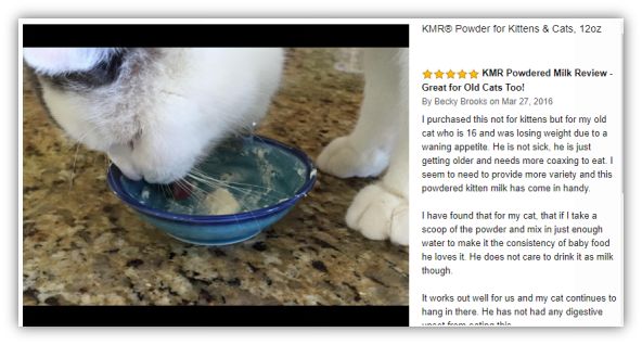 谁在证明PetAg美国倍酷奶粉的强大口碑？来自全球用户的真实反馈