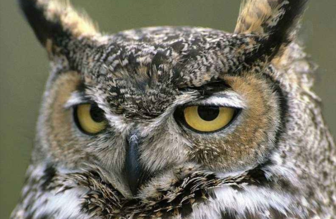 做一名地推销售需要保持的好习惯,做销售地推最适合怎么样的人