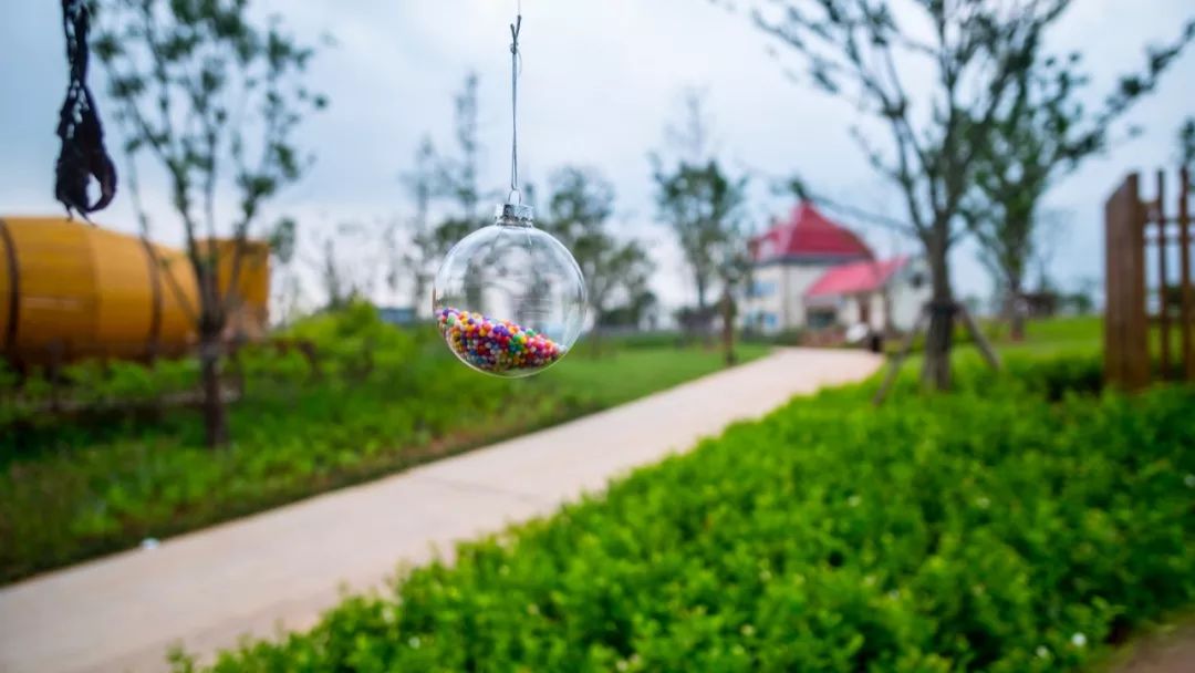 当网红“阿狸”遇到田野农场,实现IP变现新路径