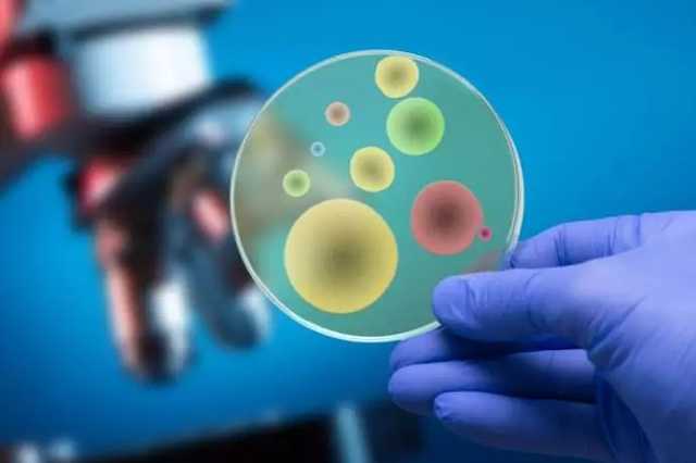 扁平疣—孕期妈妈之痛