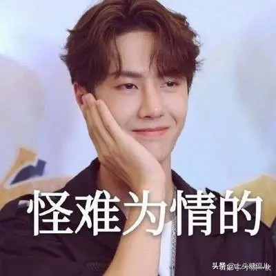 《亲爱的热爱的》番外:只羡鸳鸯不羡仙2