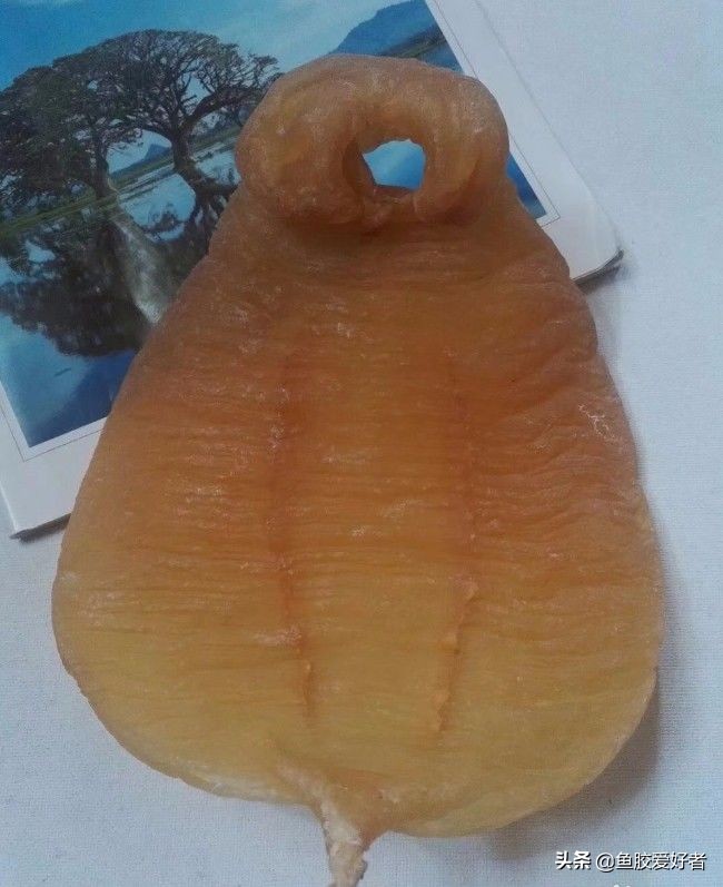 涨知识的详细讲解,涨知识的100个常识