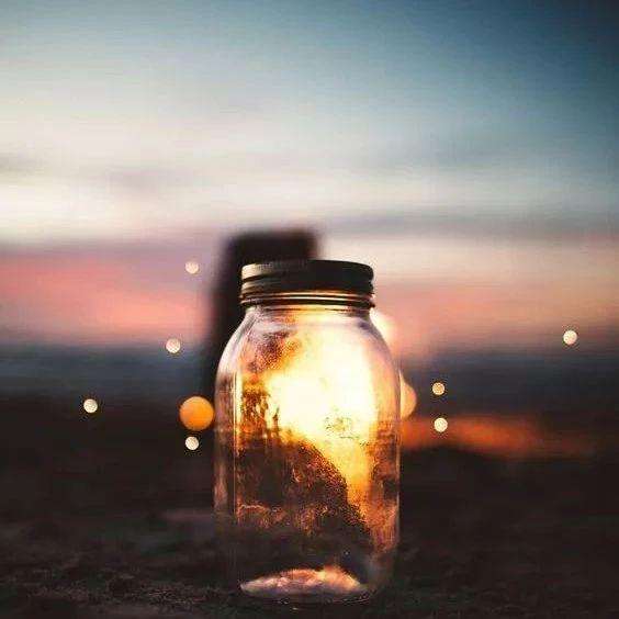 爸爸爱喜禾适合给孩子看吗,爸爸爱喜禾全文