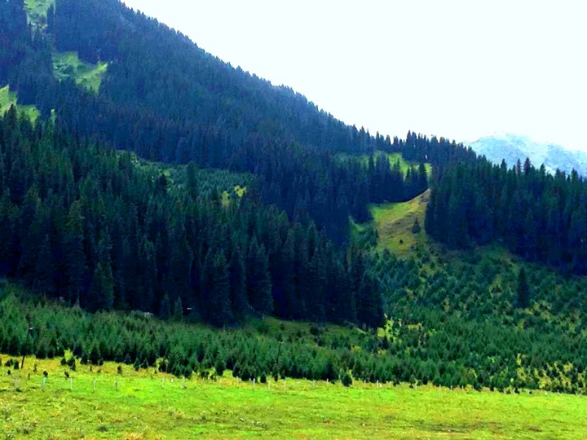 独库公路遇老乡卖蜂蜜,买上千元是假的,这年头儿老乡还能相信吗