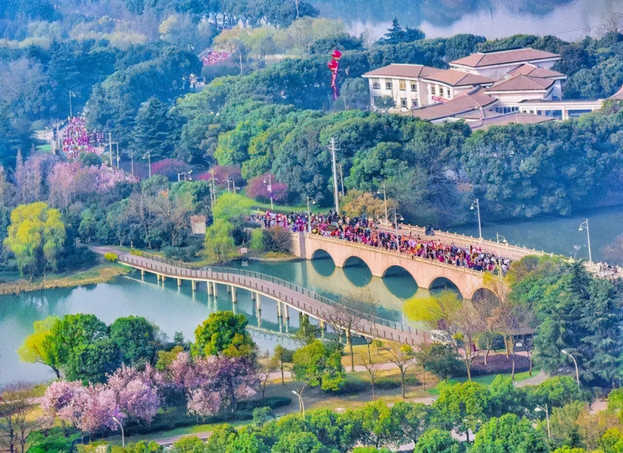 城市马拉松赛事,城市马拉松开跑