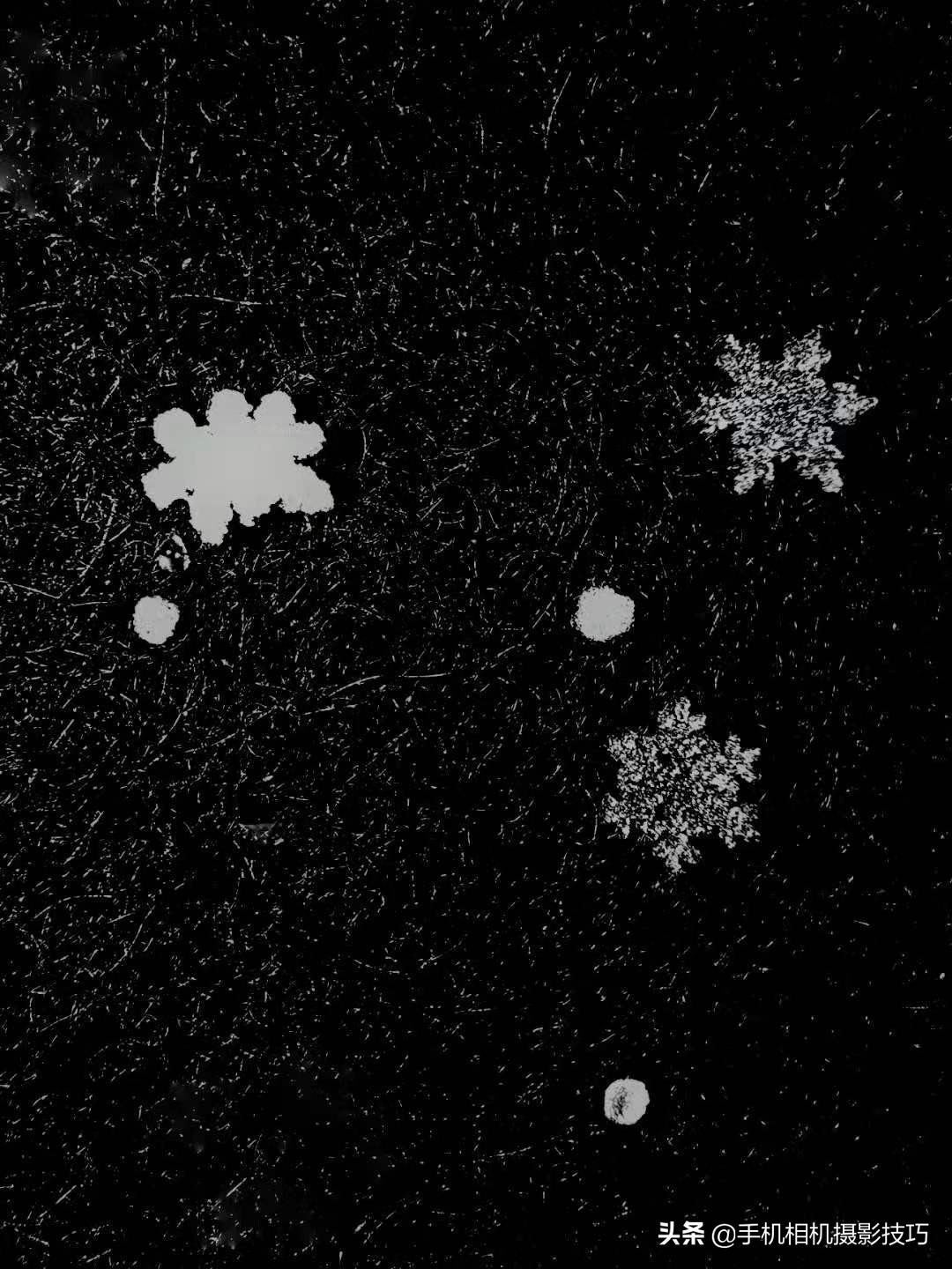 学摄影要听前人话吗,摄影小白零基础学摄影图片