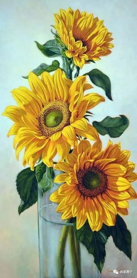 100种漂亮花卉图片,100张漂亮花图