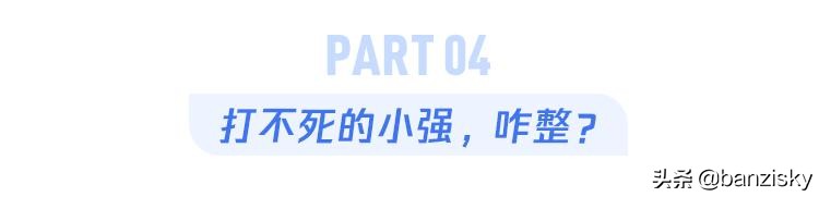 被子长出了木耳，老鼠满地跑，牙刷长了毛，这宿舍该咋收拾啊
