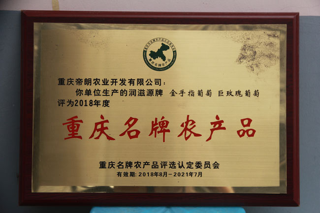 吴培先：重庆水果种植“一姐”的变与不变