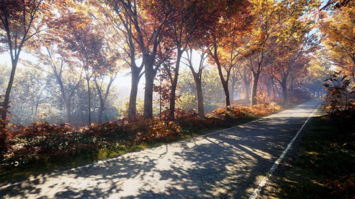 猎人荒野的召唤顶级画质,猎人荒野的召唤史诗级