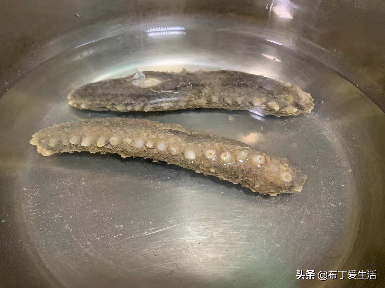 自己发海参的正确方法,海参的正确发制方法建议收藏