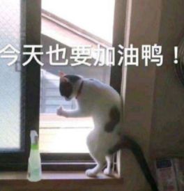 津市租房价格表,天津租房一般多少钱一平方