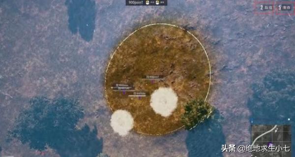 免电网伤害外挂，站着不动也能吃鸡！蓝洞需要有所作为