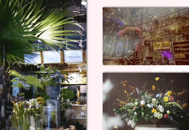 北京最好看的花店,北京哪个花店最美丽又好看