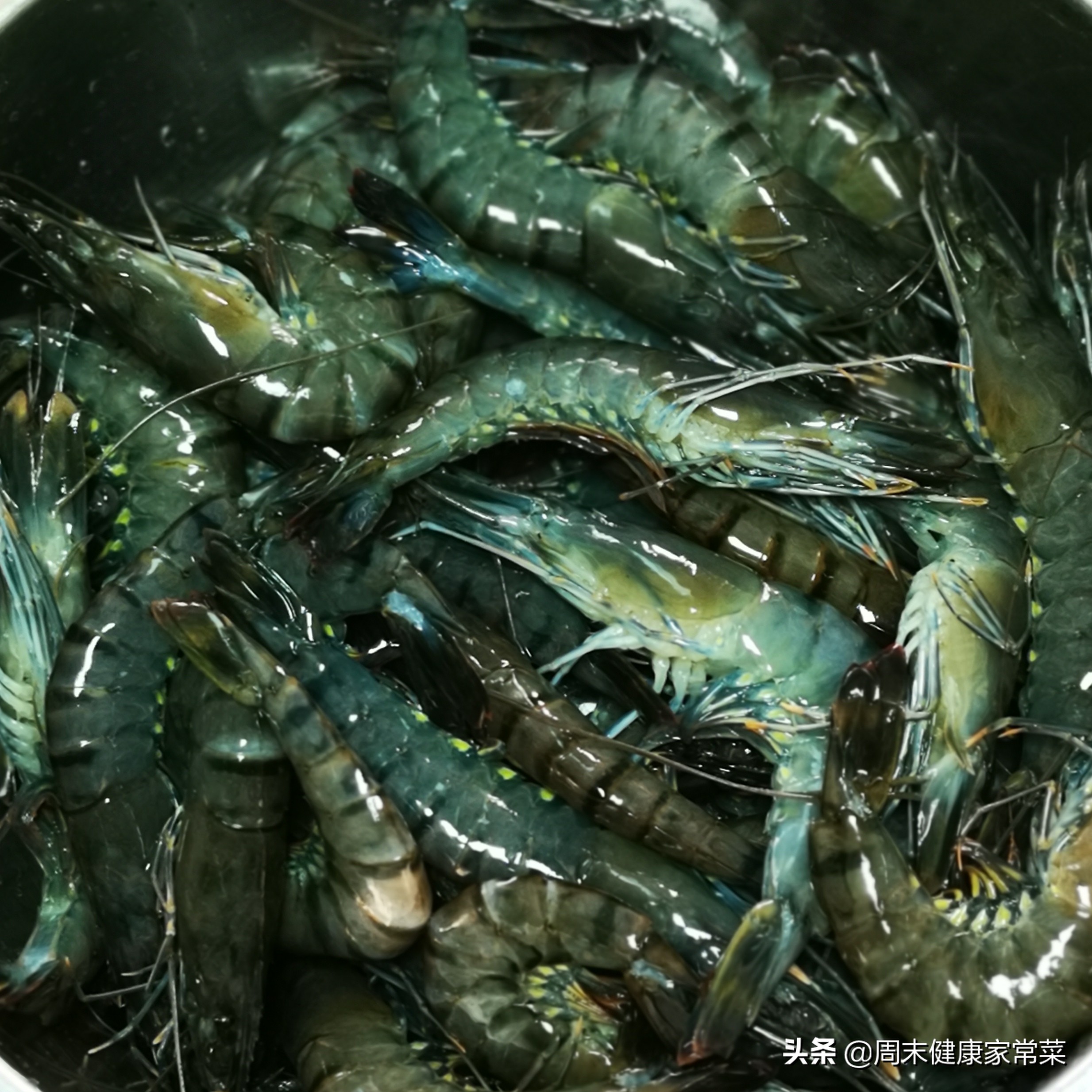 海虾买回来放多久不死,海虾活的怎么处理