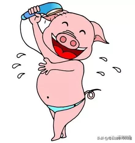 「猪热应激」0死亡！最科学的猪热应激治疗方案