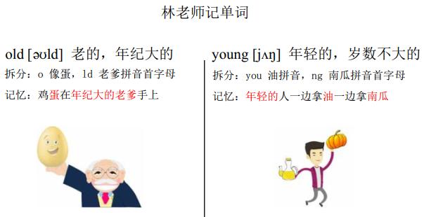 英语单词速记大全视频教程,英语词汇20句顺口溜