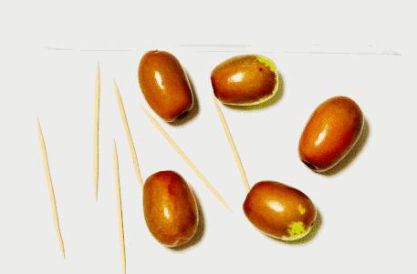 古人锻炼注意力,古人的专注力比现代人强