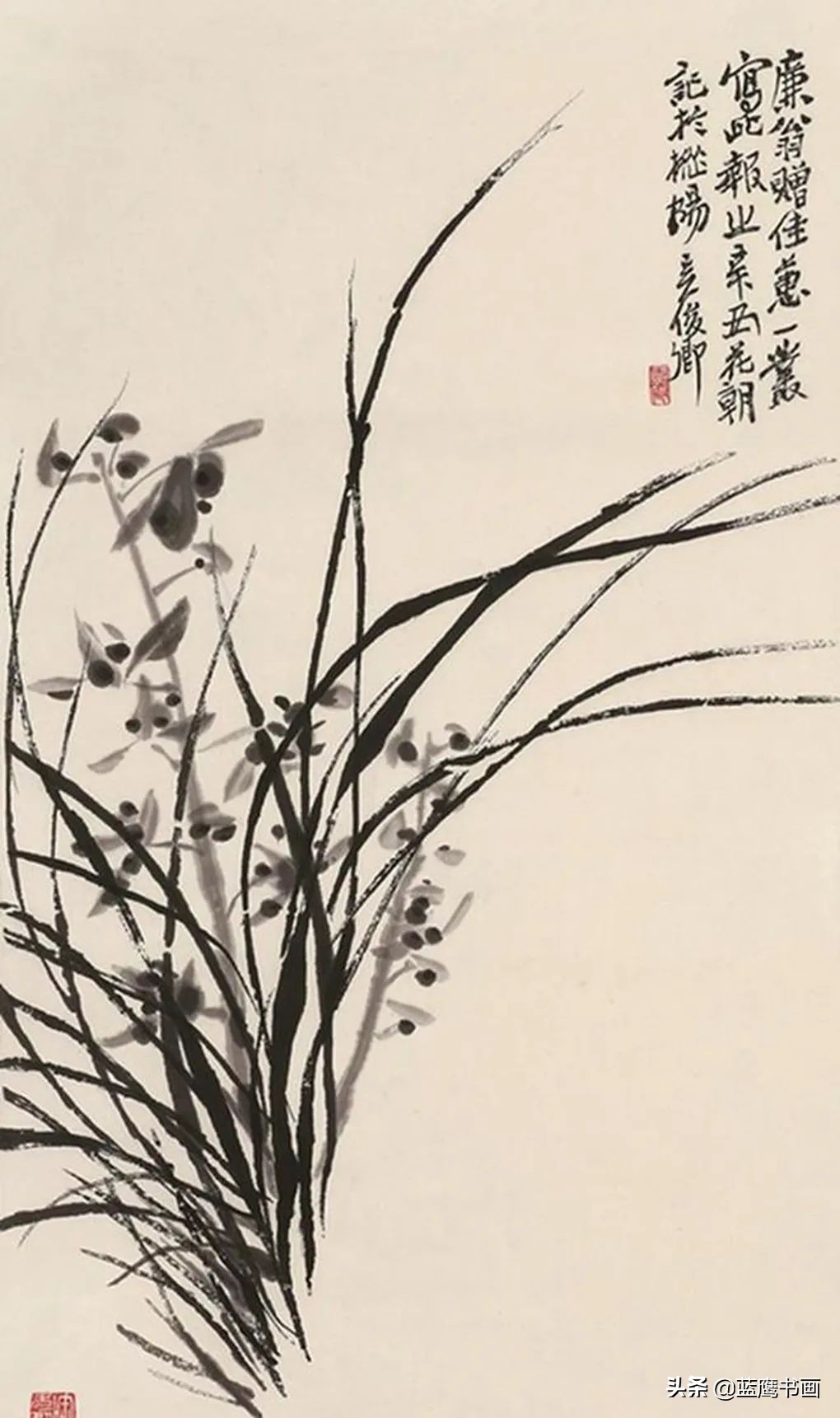 梅兰竹菊四君子各有各的潇洒,花中四君子梅兰竹菊对应的品质