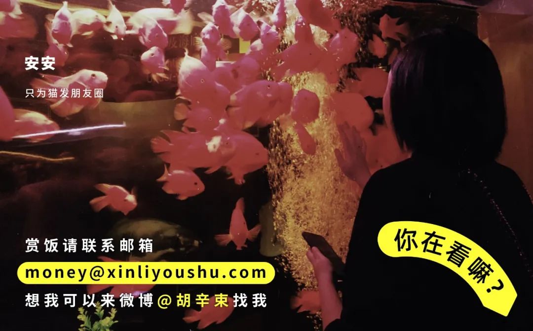 寰俊鍙蜂慨鏀逛簡鎵句笉鍒板墠浠讳簡,鍐嶆鏇存敼寰俊id