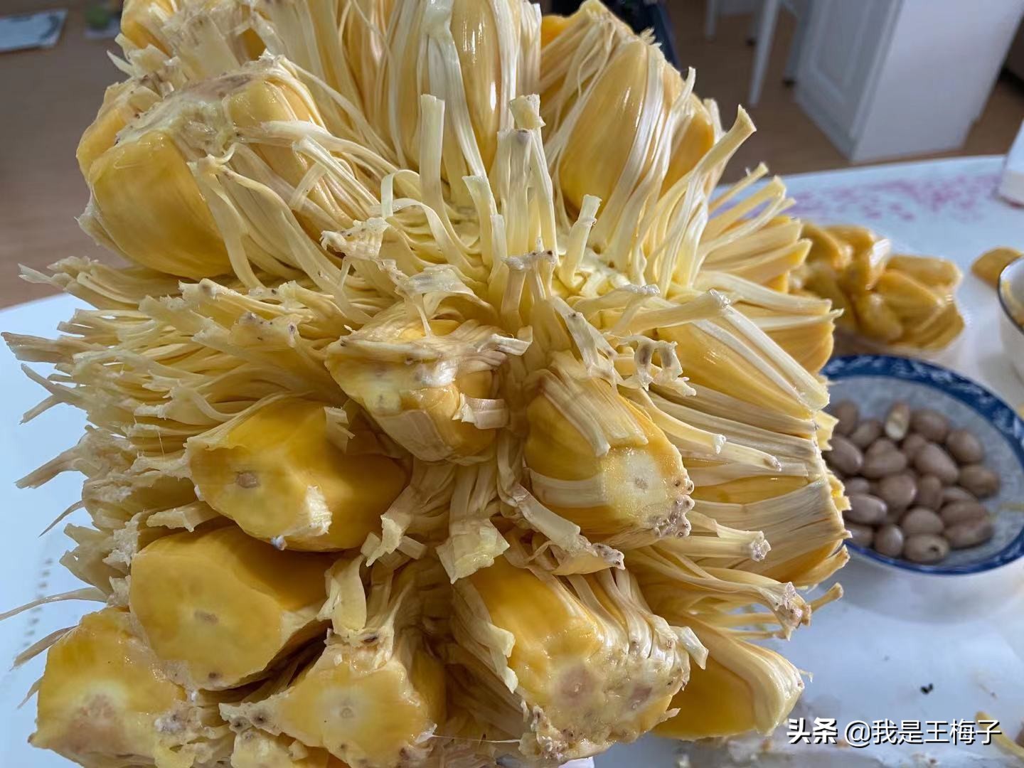 北方人有没有见过菠萝蜜,菠萝蜜北方人不喜欢吃吗