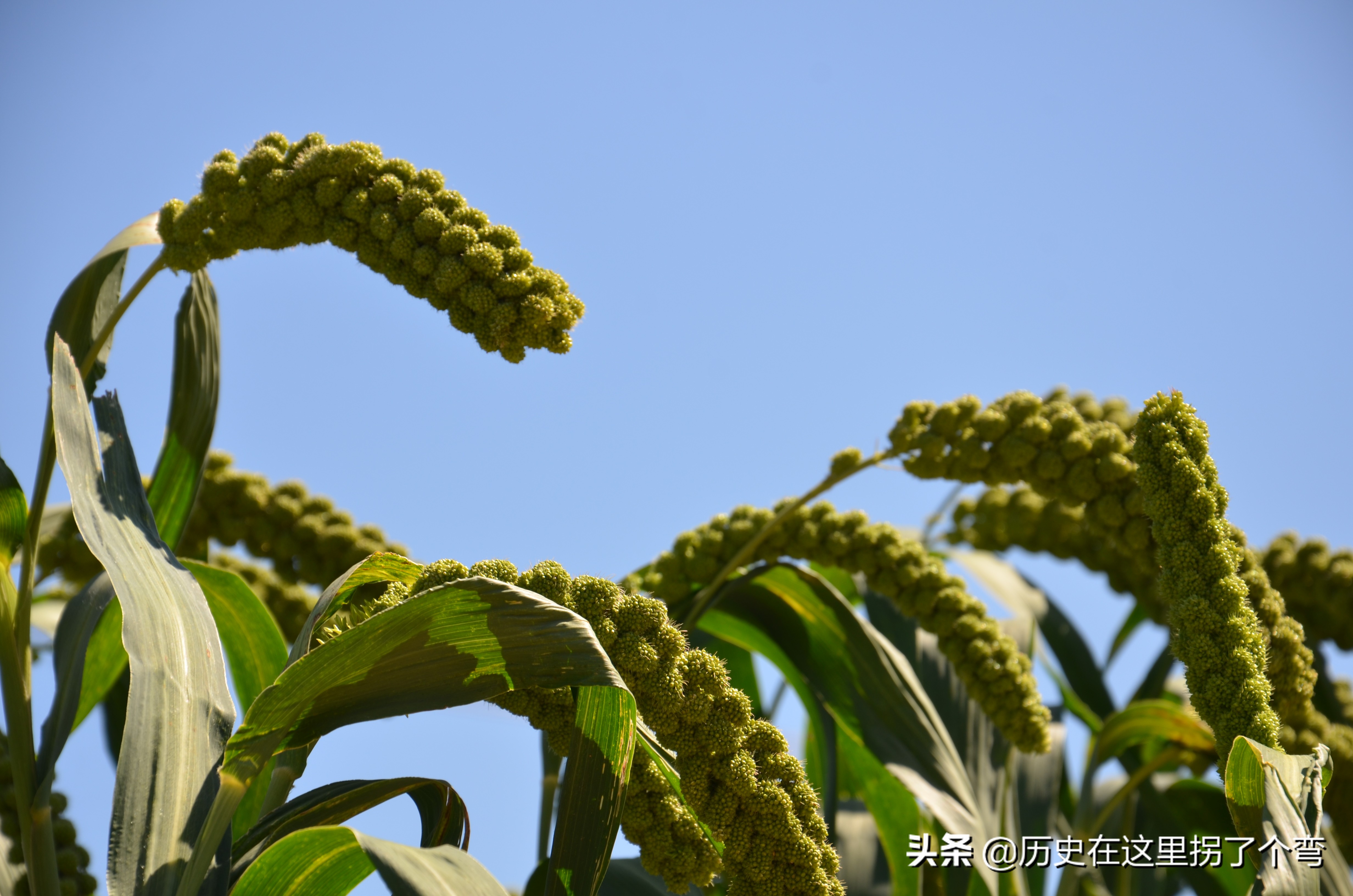 农耕文化一览表,农耕文明源头之十三