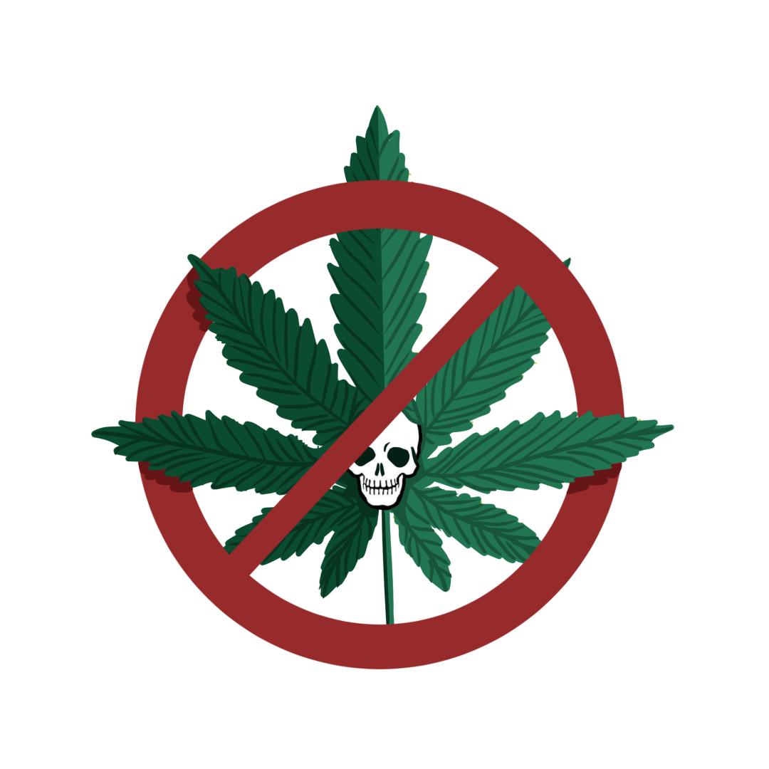 吃药减肥当心5种瘦身药物成分,注意减肥药中的违禁成分