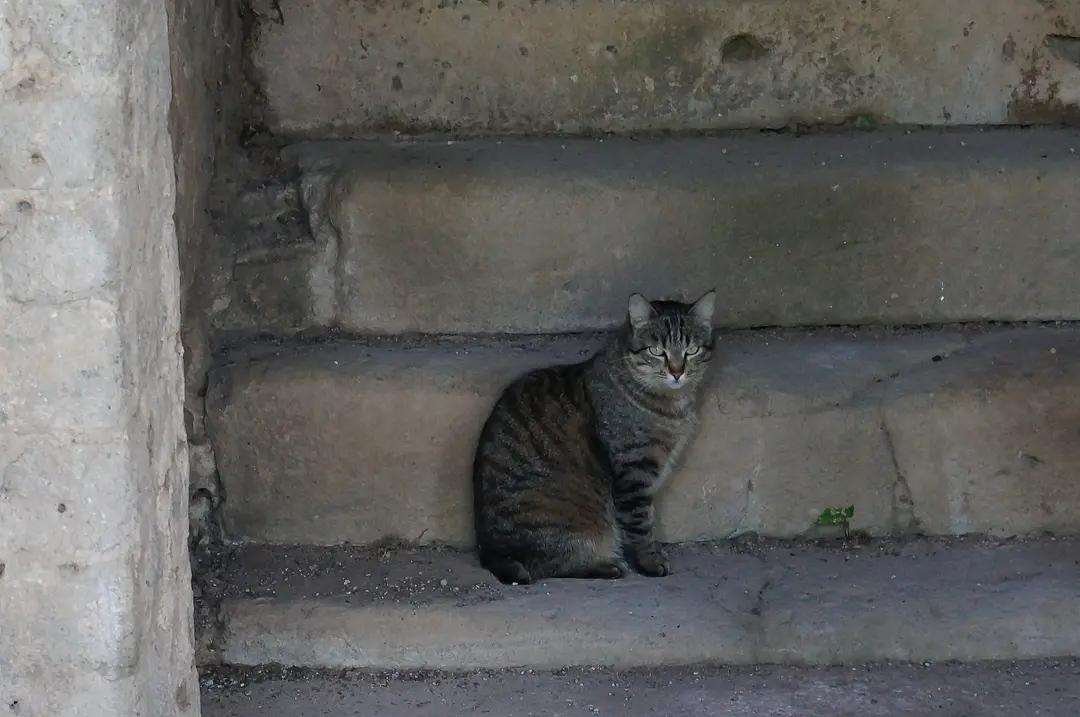 跟着神话去探索拉奇奥：拉努维奥（Lanuvio）