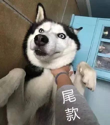 各种让人一看就想买东西的文案,姐妹朋友圈文案可爱沙雕