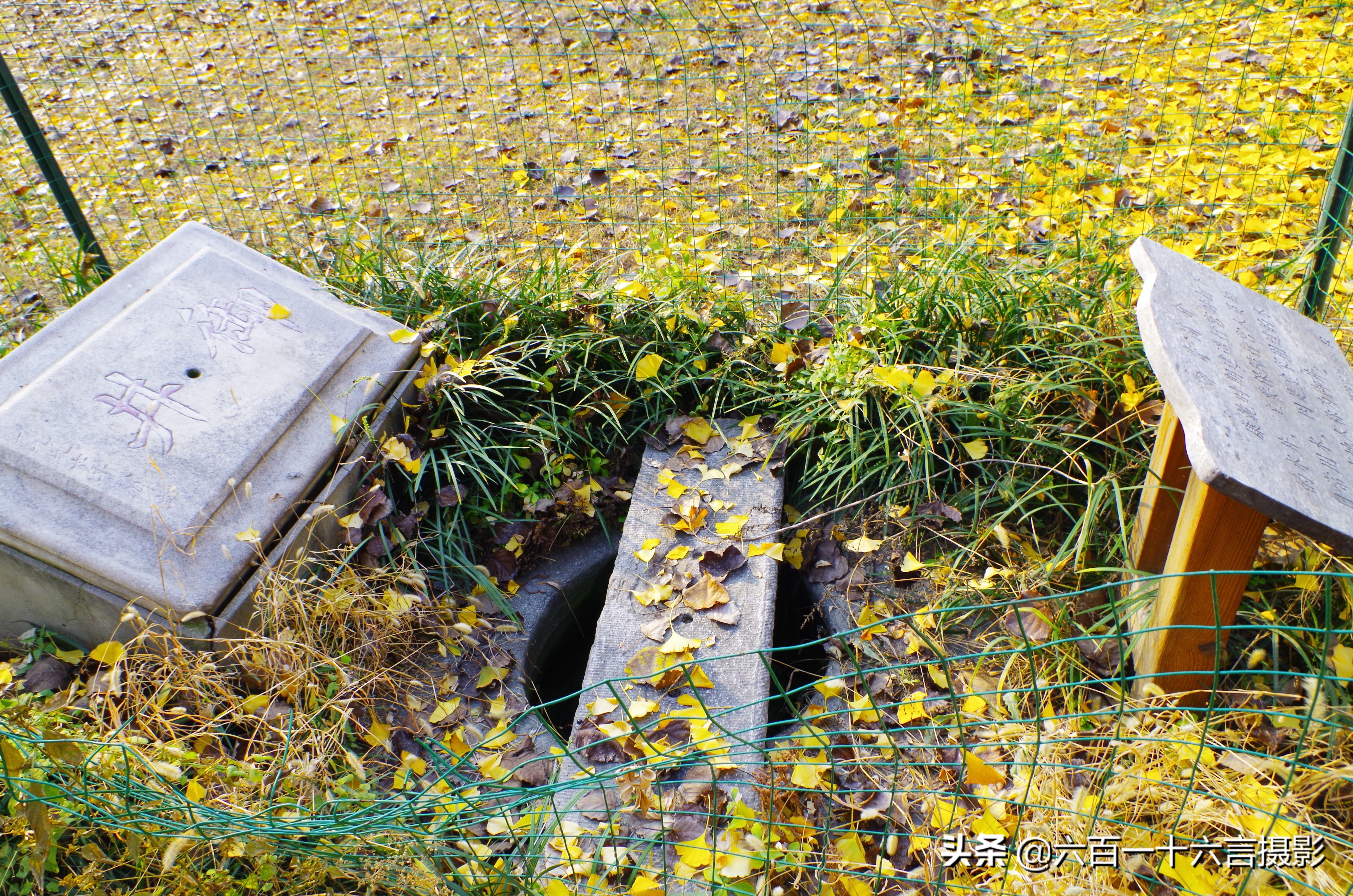 这里是正定04：传说中的御井长这样