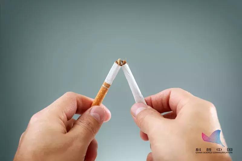 长期玩手机会导致眼睛黄斑病变吗,玩手机黄斑病变失明能治好吗