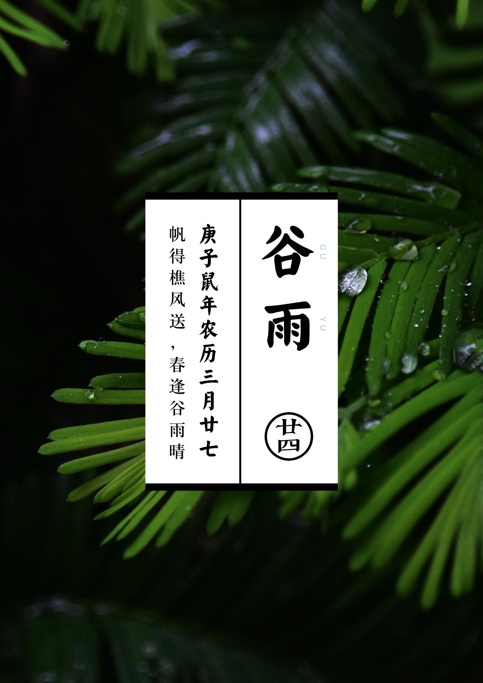 谷雨时节插画线稿,谷雨节气古风插画图片手绘