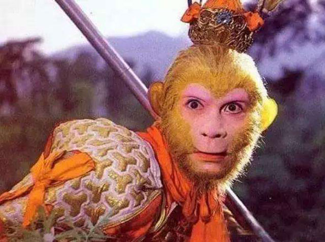 庐山云雾茶品茶评论,庐山云雾茶文化视频