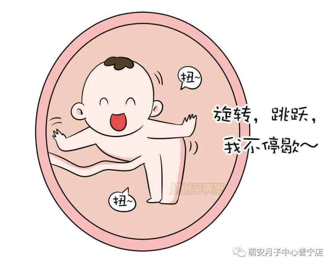 孕期小知识最新更新,孕期小知识视频