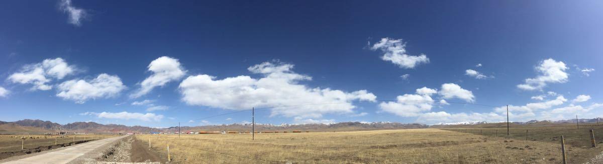 若木诗句七律,含有若木的诗句