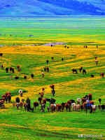 收藏各省老酒,收藏全国各地的牌子